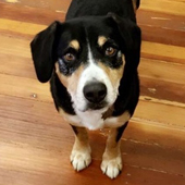 Liftopia Contact Us Photo 1